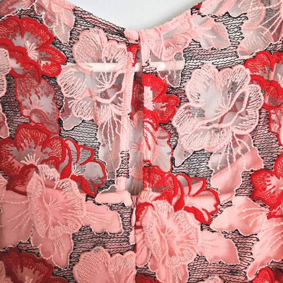 NWT Donna Ricco Strawberries & Cream Pink Sheer Embroidered Fit-and-Flare Dress - Picture 7 of 8